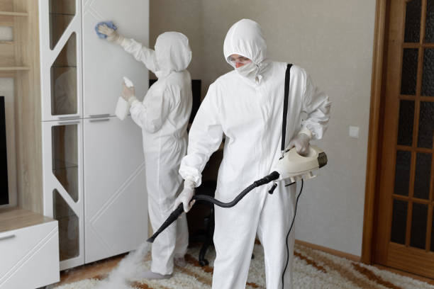 Best Crawl Space Mold Removal  in Flemington, NJ
