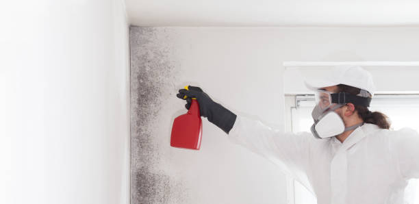 Best Mold Testing  in Flemington, NJ